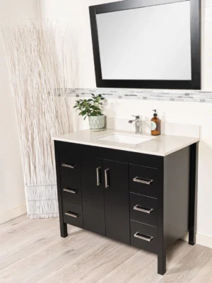 Double Sink Vanities - Black, 24x12